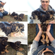 Image for article titled Puppy-Loving Olympic Silver Medalist Gus Kenworthy for President
